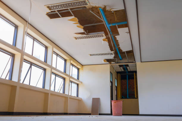 Best Flood restoration services  in Leadington, MO