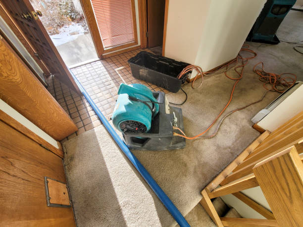 Best Emergency water damage restoration  in Leadington, MO