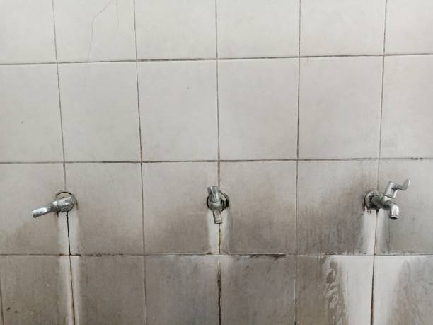 Best Professional water damage repair  in Leadington, MO