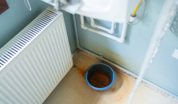 Best Carpet water damage restoration  in Leadington, MO