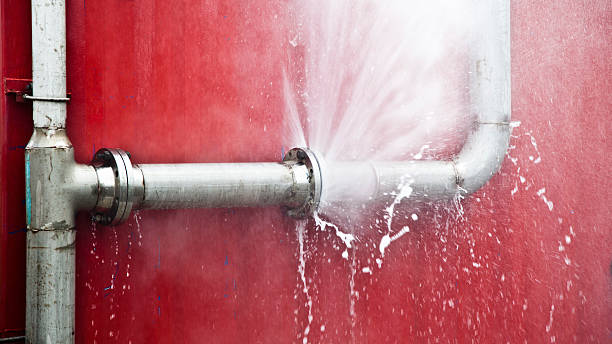 Best 24-hour water damage restoration  in Leadington, MO